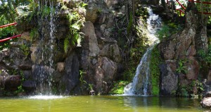 Jardim Japonês em Caldas Novas 